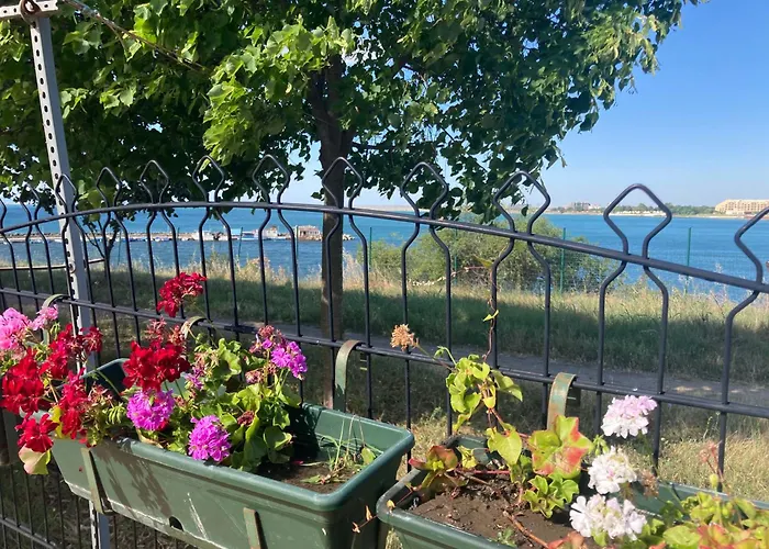 аpartments Comfort -marina Cape شقة